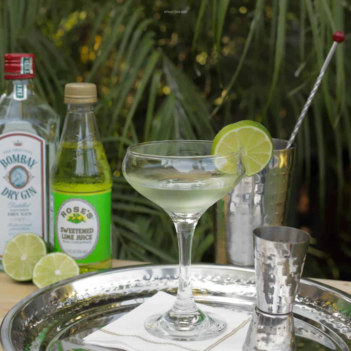 A gimlet cocktail in a coupe glass with dry gin and Rose's lime juice on a silver tray.