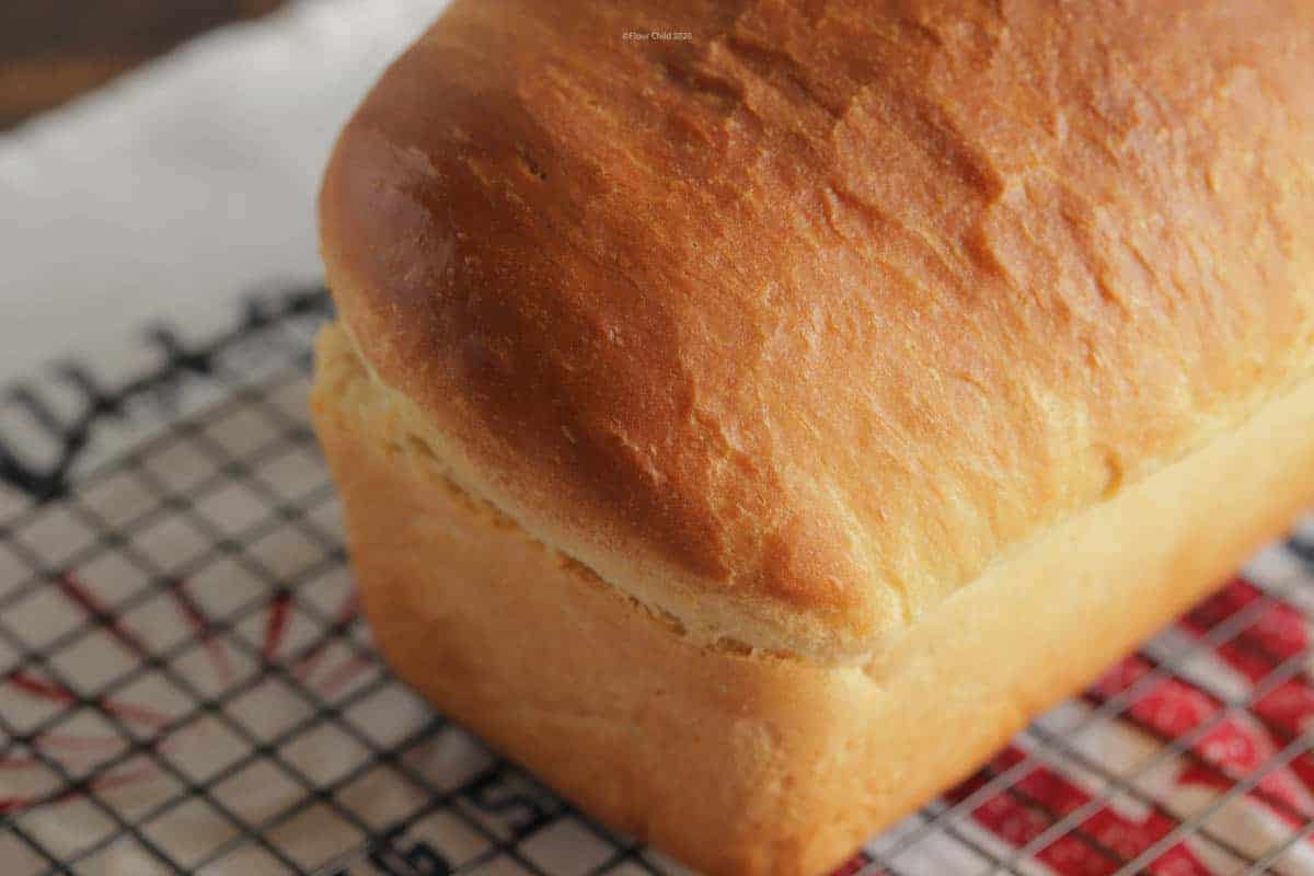 Single loaf of white bread cooling on a rack.