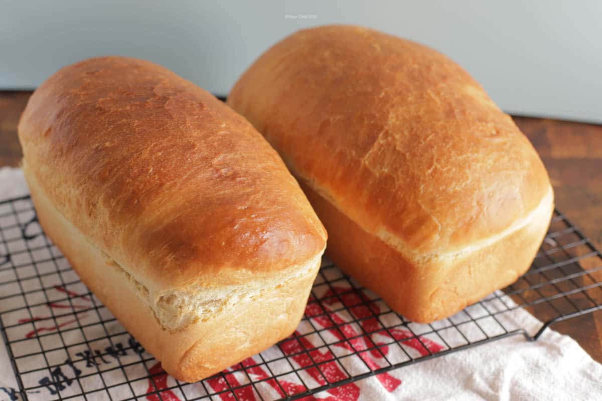 Two white bread loaves cooling on a rack.