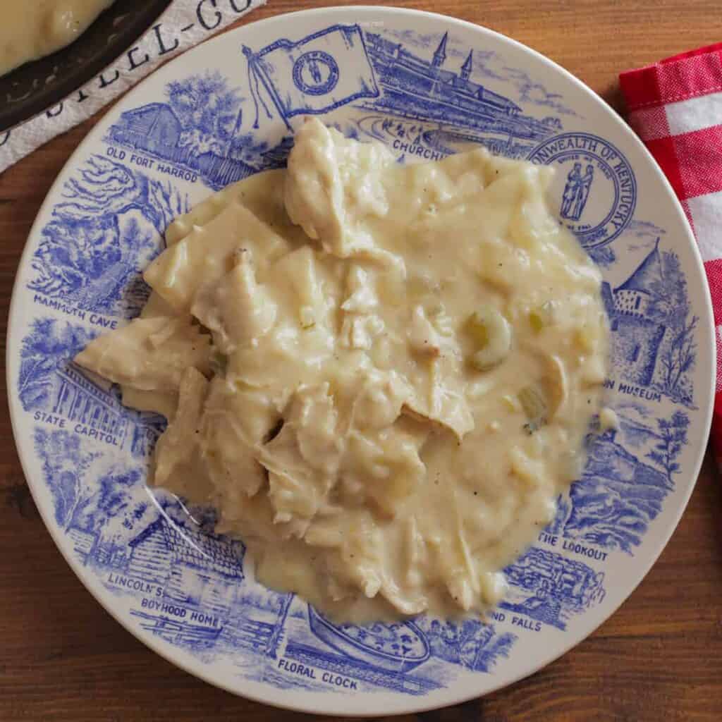 Chicken and dumplings served on a dinner plate