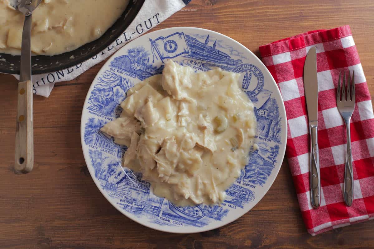 Plate of chicken and dumplings
