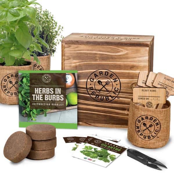 All items included in herb garden spread out on a table