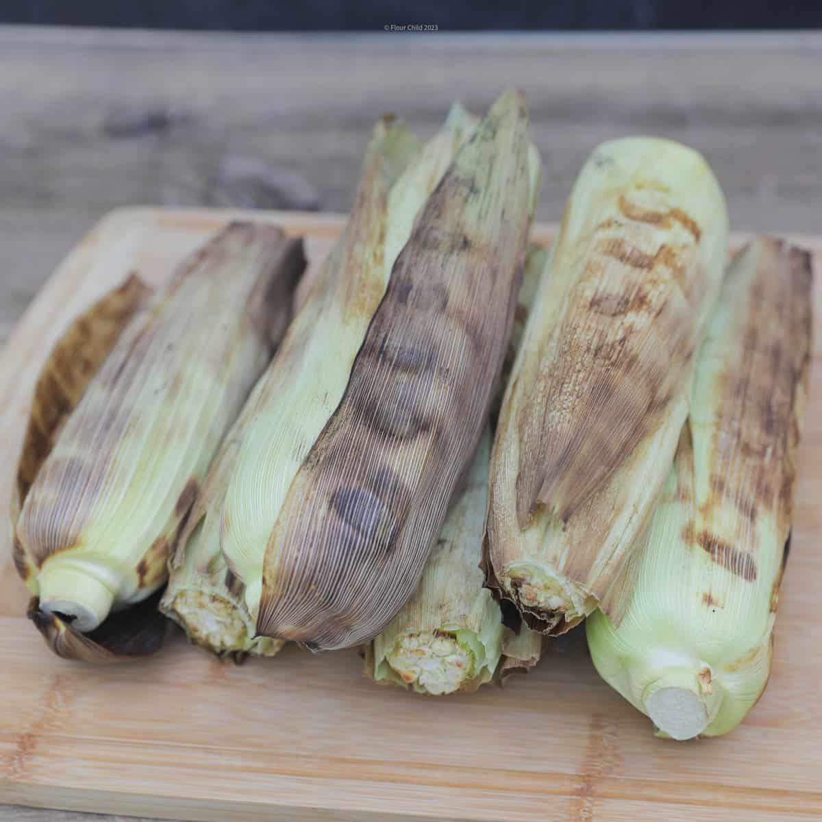 Corn on the cob just off the grill with the husks still on.